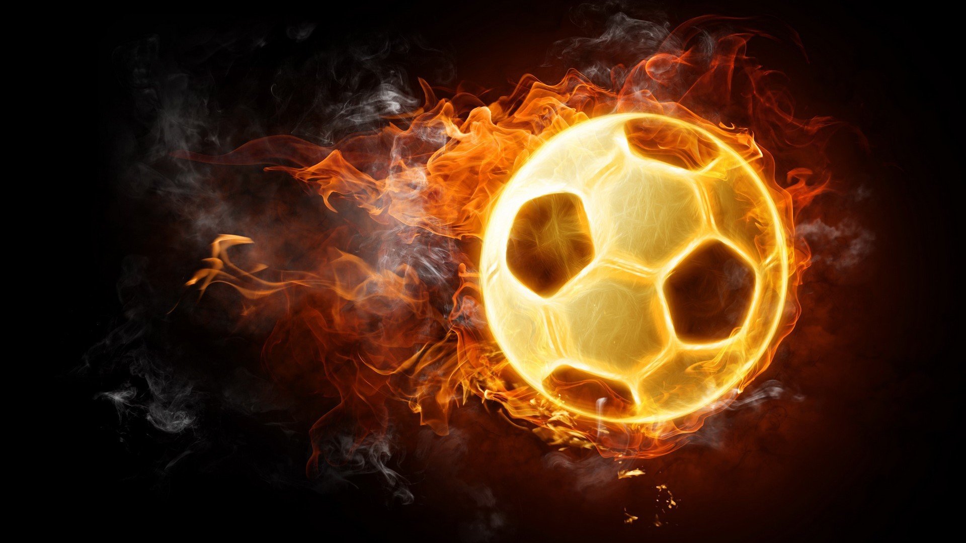 伊朗马术协会与国际马术联合会合作,举办国际马术交流活动,促进技术交流。