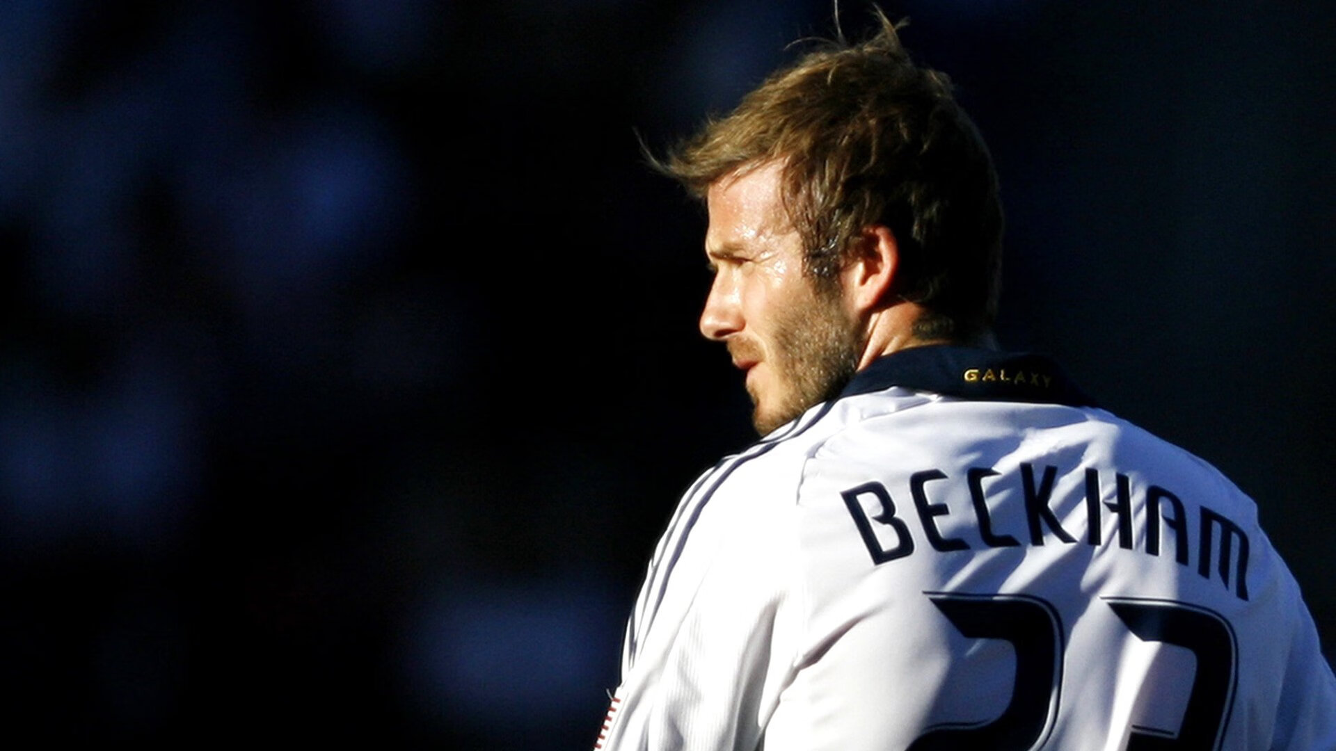 开云体育全站-明星加盟：新援如何提升球队实力？，加入明星后援会有工资吗